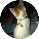 Milka profile picture